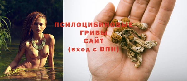 метадон Новозыбков