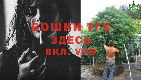 Альфа ПВП Новодвинск