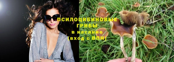 Альфа ПВП Новодвинск