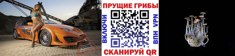Галлюциногенные грибы прущие грибы  Заинск 