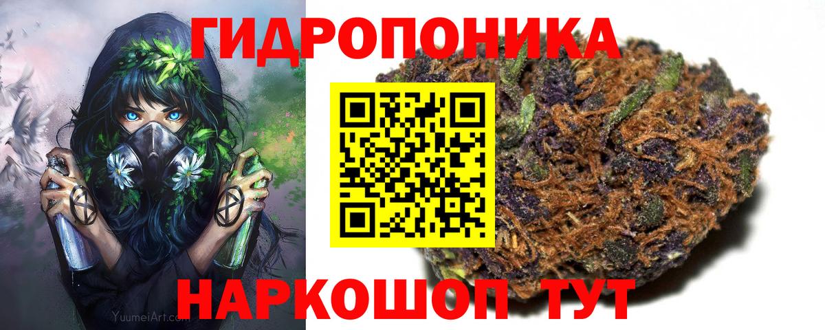 Канабис гибрид  Вход с VPN  Бошки марихуана семена  Заинск 